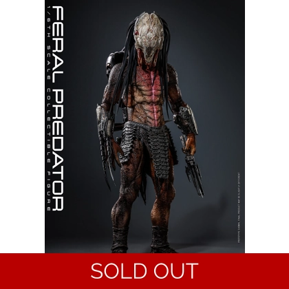 Hot Toys - Prey - 1/6th Scale Feral Predator Collectable FigurePredator
